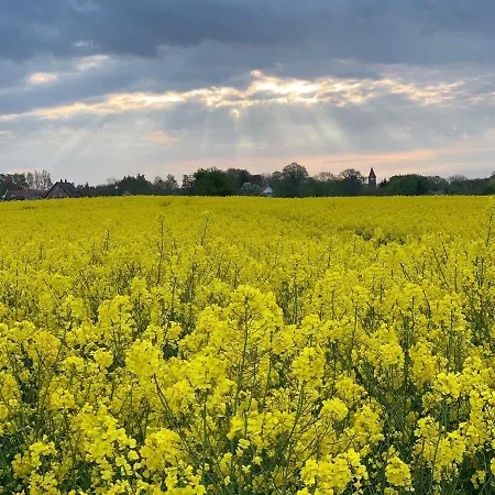 Wohlfuehl-Villa Mia * Goehren-Lebbin